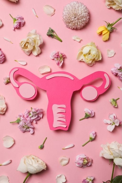 Design sans titre - ménopause et naturopathie nantes